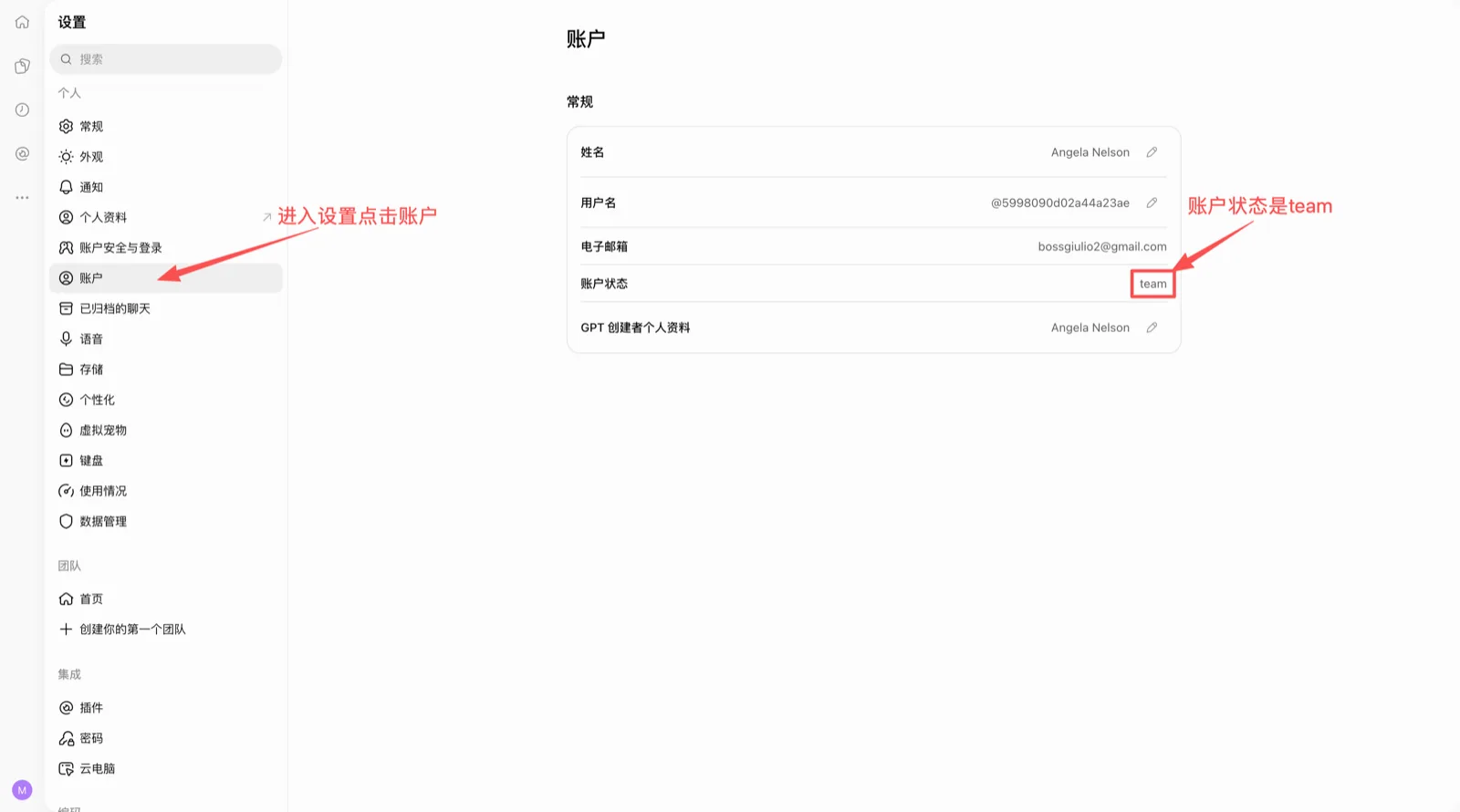 Desktop: account status shows Team